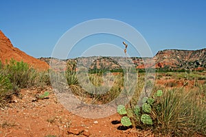 Palo Duro Canyon photo