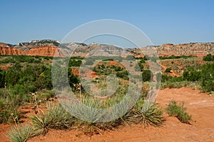 Palo Duro Canyon