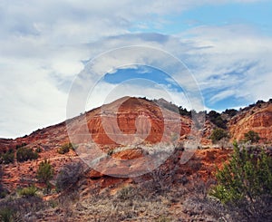 Palo Duro Canyon state park.Texas