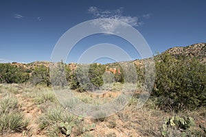 Palo Duro Canyon State Park, Texas