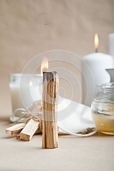 Palo Santo burning close-up and copy space. Ritual cleansing with sacred ibiocai, meditation, aromatherapy with incense and