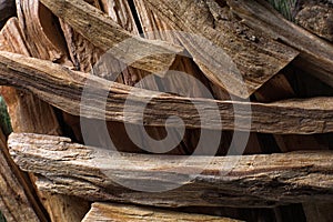 Palo santo wood sticks closeup