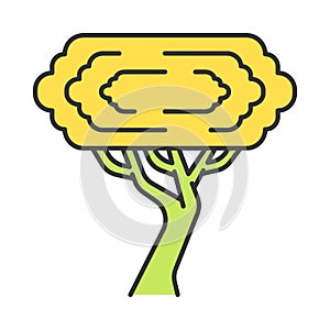 Palo verde tree color icon photo