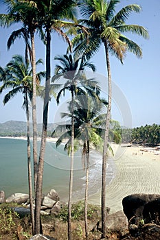 Palolem Beach,Goa,India photo