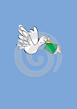 Paloma blanca volando con libro en su pico