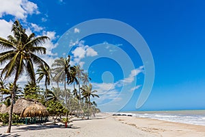 Palomino beach Landscapes La Guajira Colombia