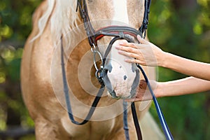 Palomino horse in bridle and young woman outdoors