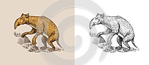 Palorchestes. Marsupials of the family Palorchestidae. Vintage Extinct animal. Retro Mammals. Hand drawn engraved sketch