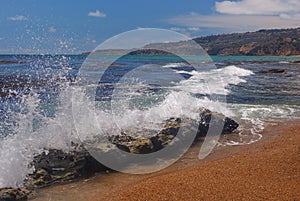 Palos Verdes Dog Beach