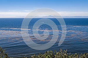 Palos Verdes Ocean View