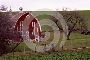 Palouse Barn