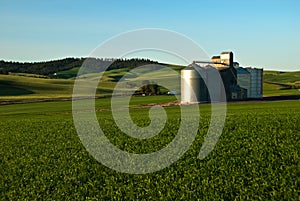 Palouse Elevators