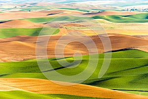 Palouse Region Steptoe Butte Farmland Rolling Hills Agriculture