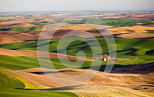 Palouse Region Steptoe Butte Farmland Rolling Hills Agriculture