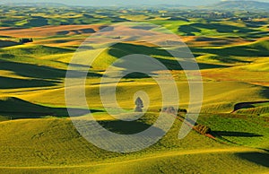 Palouse rolling hills