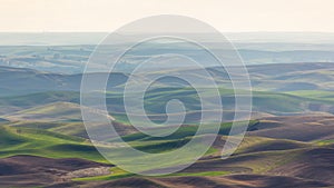 Palouse Rolling Hills in Haze, Washington