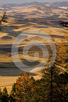 Palouse Valley, eastern Washington State