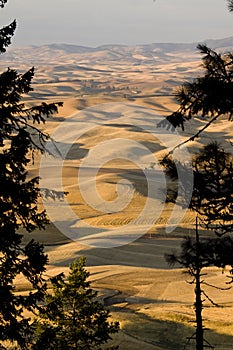 Palouse Valley, eastern Washington State