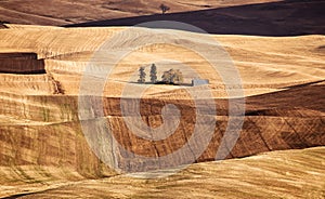 Palouse Valley in the fall