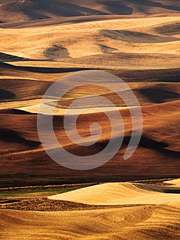 Palouse Valley in the fall photo