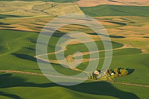 Palouse wheat fields at sunset