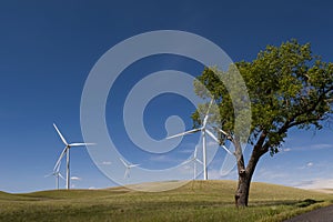 Palouse Wind Farm