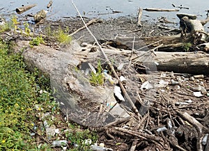 Palstic bottles and trash on shore of river photo