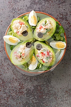 Palta reina is a delicious Chilean dish that consists of chicken salad on a halved avocado closeup on the plate. Vertical top view photo