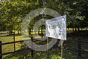 ~Palu di Livenza archaeological site (Parco archeologico di Palu di Livenza), UNESCO site, Caneva, Friuli-Venezia photo