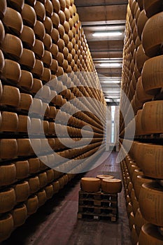 Parmigiano Reggiano cheese factory in Italy photo