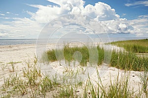 Pamlico Sound beach of the North Carolina Outer Banks