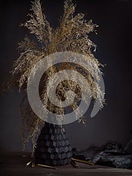 Pampas grass (Cortaderia) in a black vase at wooden table on dark background