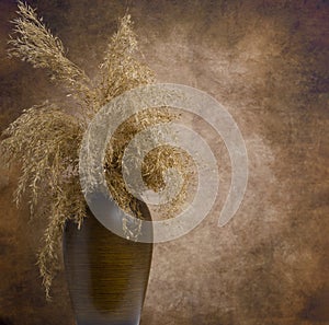 Pampas grass (Cortaderia) in a brown wooden vase on dark background