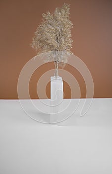 Pampas grass in a opaque glass vase.