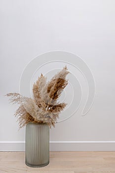 Pampas grass in opaque glass vase near white wall.