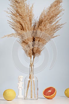 Pampas grass in vase with lemon and orange on blue and white background. natural background