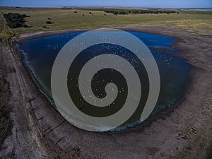 Pampas lagoon, aerial view photo