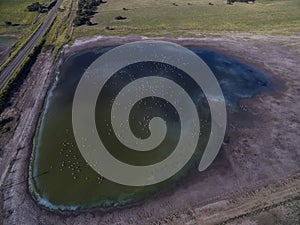 Pampas lagoon, aerial view photo