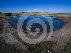 Pampas lagoon, aerial view photo