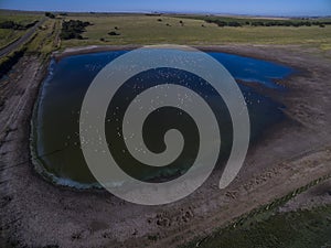 Pampas lagoon, aerial view photo