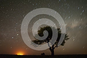 Pampas night landscape , La Pampa province, photo