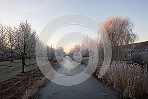 Pampushout Almere Netherlands covered in hoar-frost, Pampushout Almere Nederland gehuld in rijp