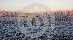 Pampushout Almere Netherlands covered in hoar-frost, Pampushout Almere Nederland gehuld in rijp
