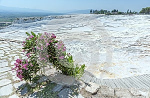 pamukkale are must-see places on the tourist route