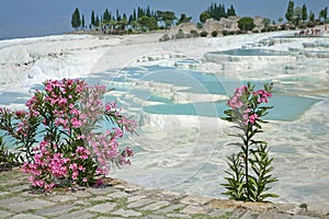 Pamukkale thermal springs photo