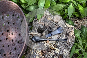 Pan for chestnuts, fire starter and snail on the tree trunk in the forest