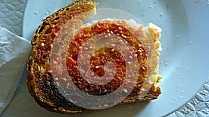 Bread with tomato ,olive oil and salt photo