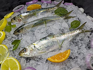 The pan cooking method is the most common.Horse mackerel is a species with thin teeth, large eyes, and a deeply forked and awned