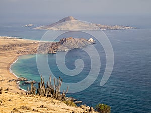 Pan de Azucar National Park, in the Atacama Desert is the best p photo