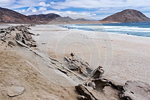 Pan de Azucar national park, Chile photo